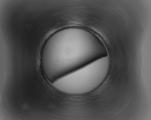 X0000099581363200805160737