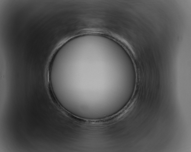 X0000099581365200805160737