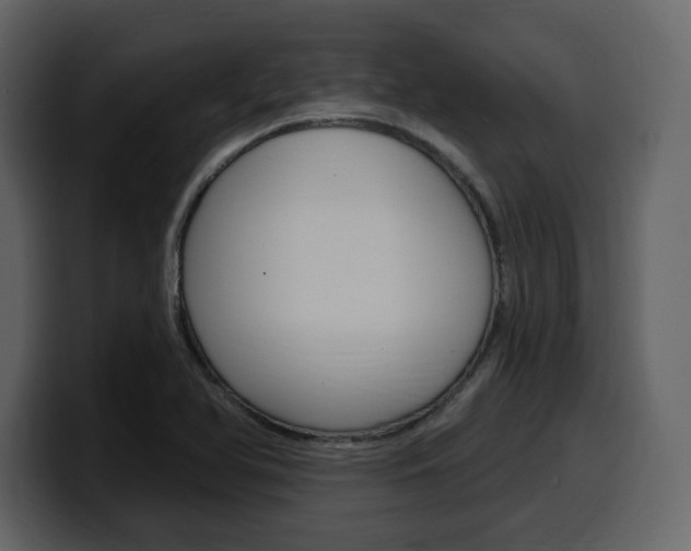 X0000099581366200805160737