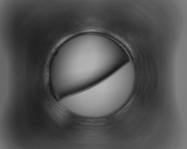 X0000099581367200805160737