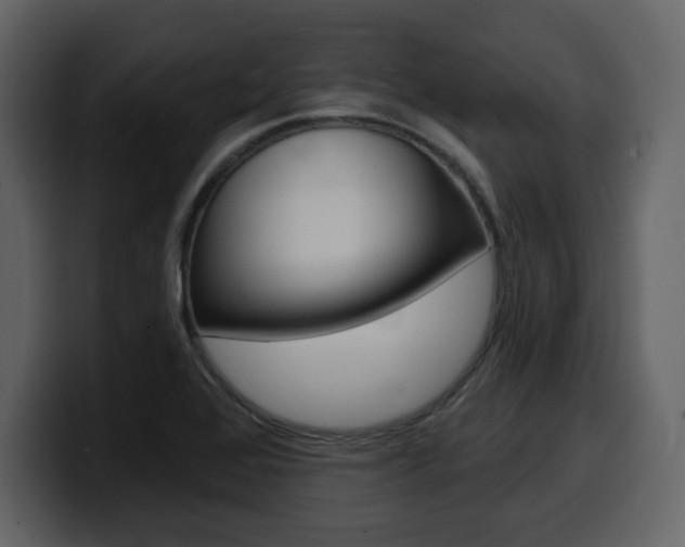 X0000099581368200805160737
