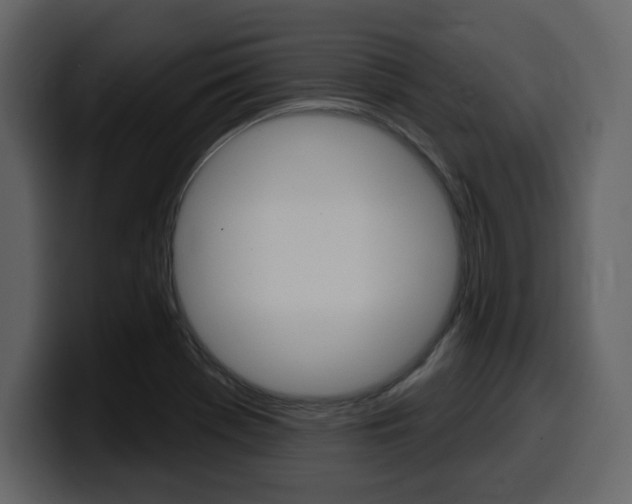 X0000099581369200805160737
