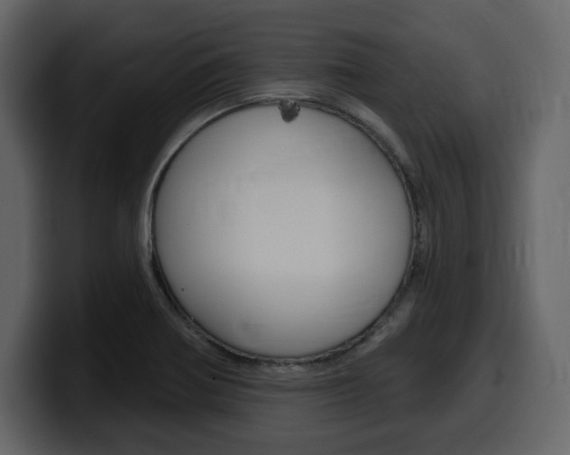 X0000099581370200805160737