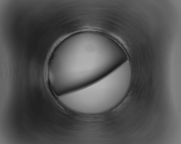 X0000099581371200805160737