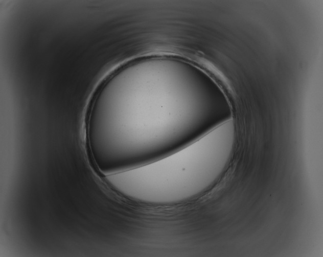 X0000099581372200805160737
