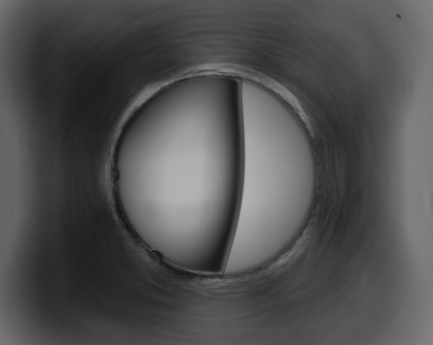X0000099581373200805160737