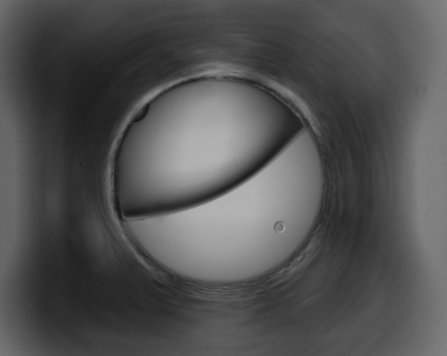 X0000099581375200805160737