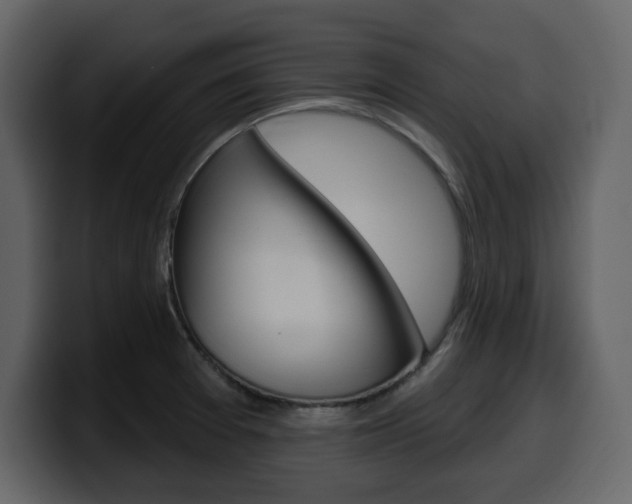 X0000099581377200805160737