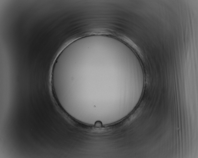 X0000099581378200805160737