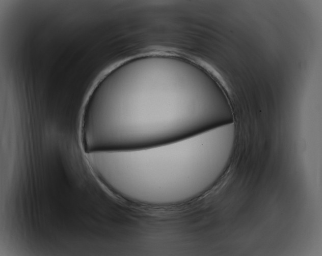 X0000099581379200805160737
