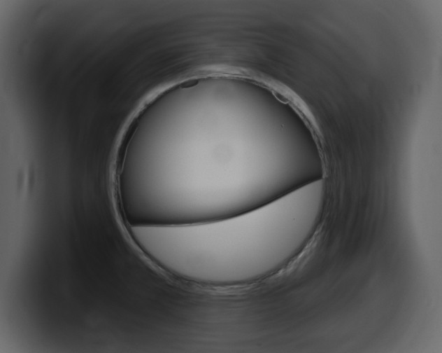X0000099581381200805160737