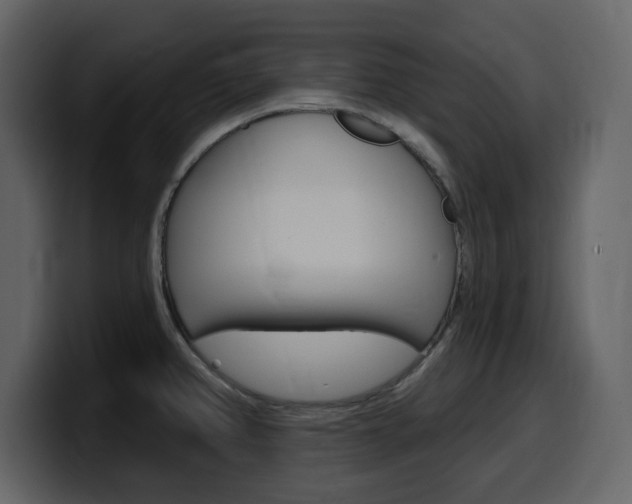 X0000099581382200805160737