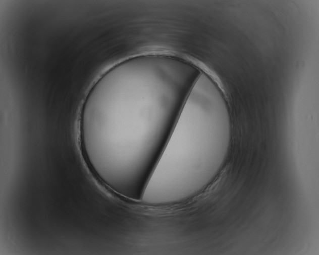 X0000099581383200805160737