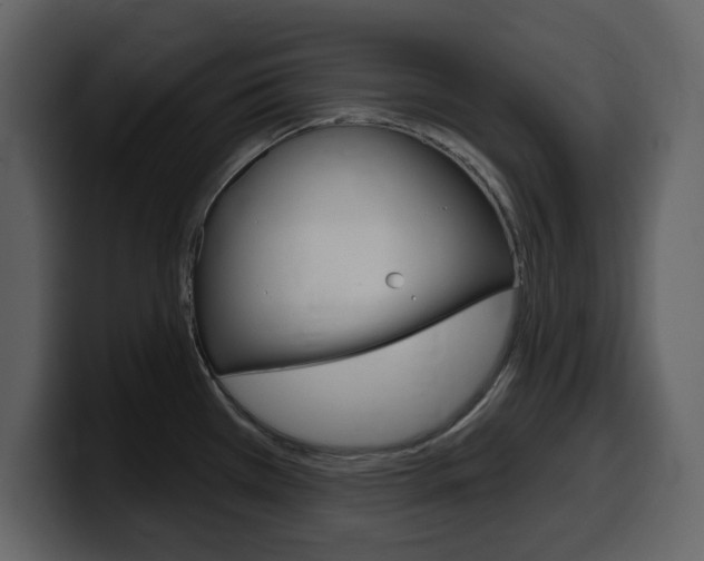X0000099581385200805160737