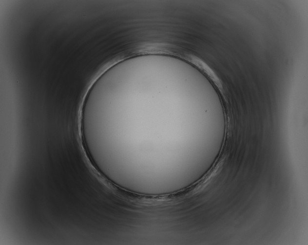 X0000099581386200805160737