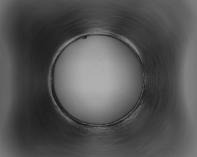 X0000099581387200805160737