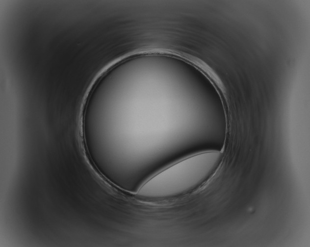 X0000099581388200805160737