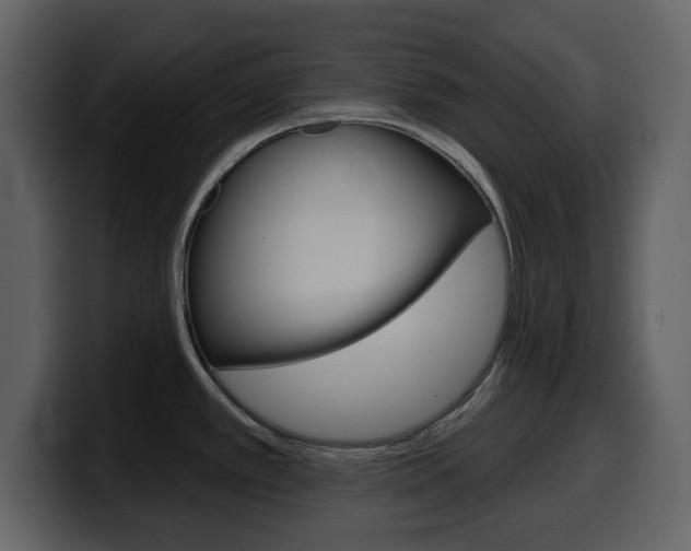 X0000099581389200805160737