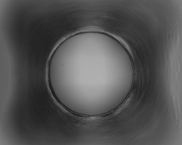X0000099581390200805160737