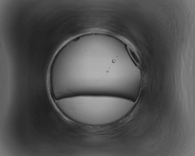X0000099581391200805160737