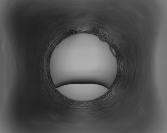 X0000099581393200805160736