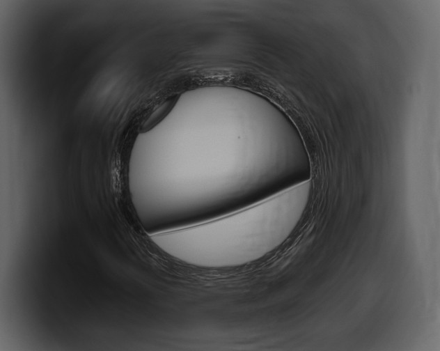 X0000099581394200805160736
