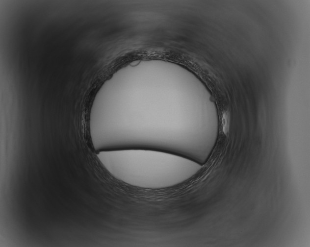 X0000099581395200805160736