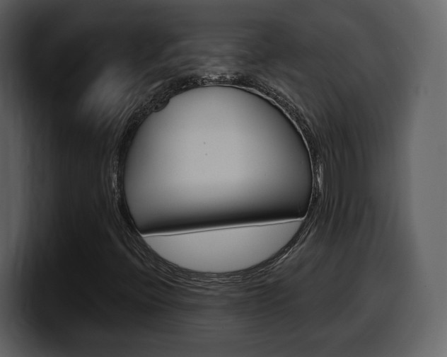 X0000099581396200805160736