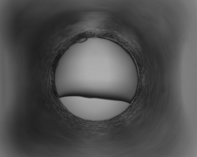 X0000099581397200805160736
