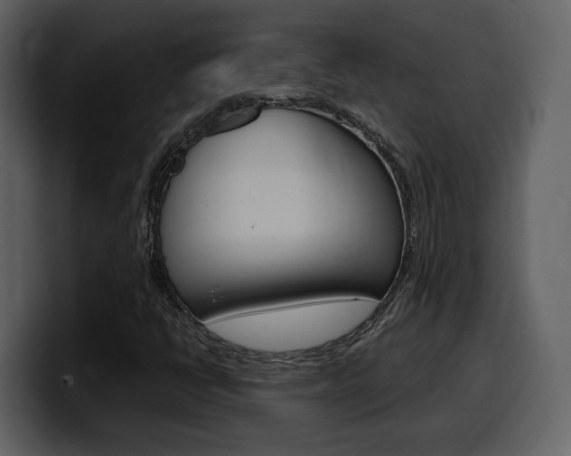 X0000099581398200805160736