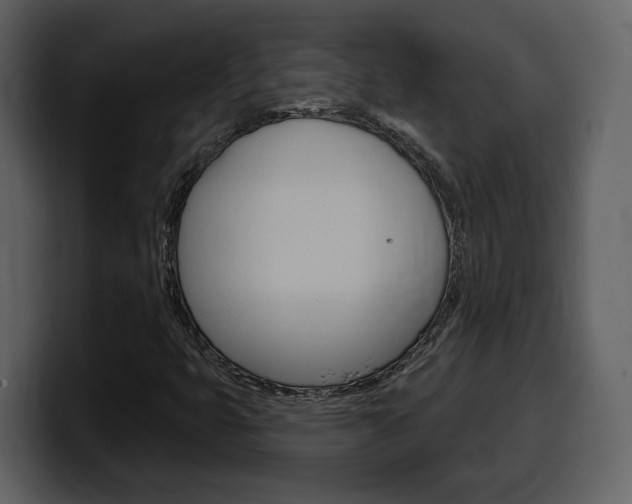 X0000099581399200805160736