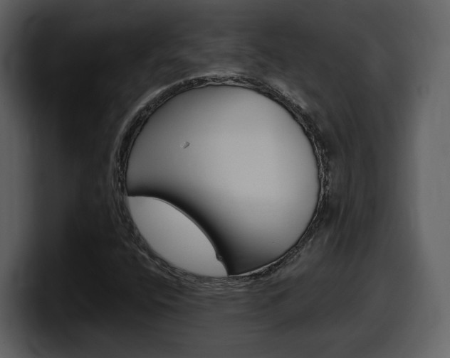 X0000099581400200805160736