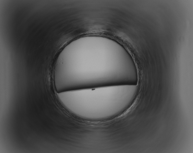 X0000099581401200805160736