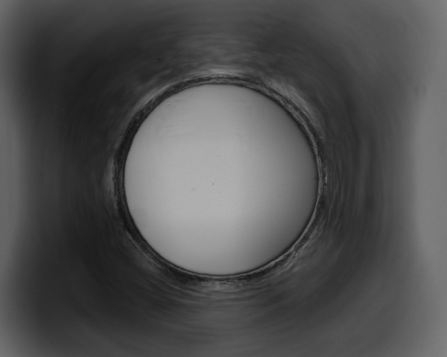 X0000099581404200805160736
