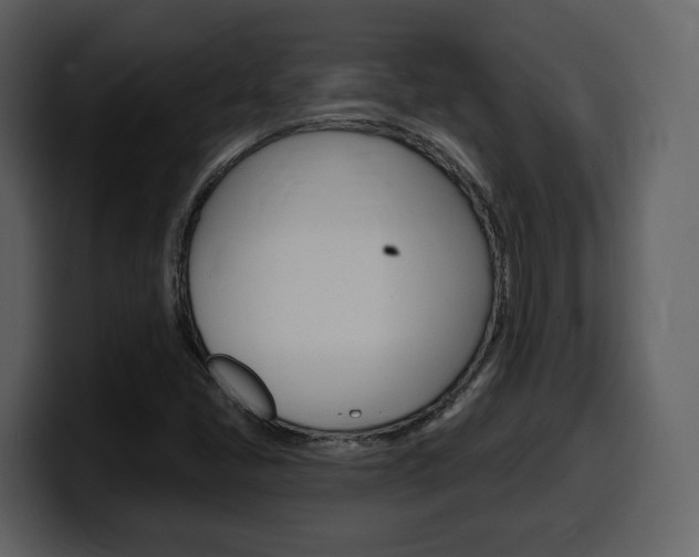 X0000099581405200805160736