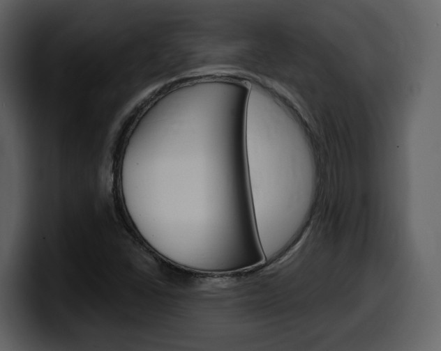 X0000099581406200805160736