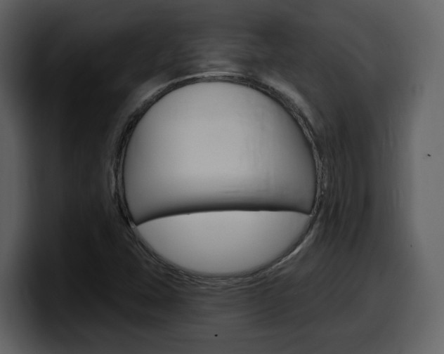 X0000099581407200805160737