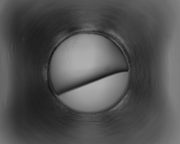 X0000099581409200805160737