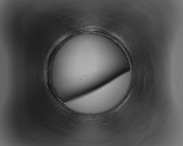 X0000099581410200805160737