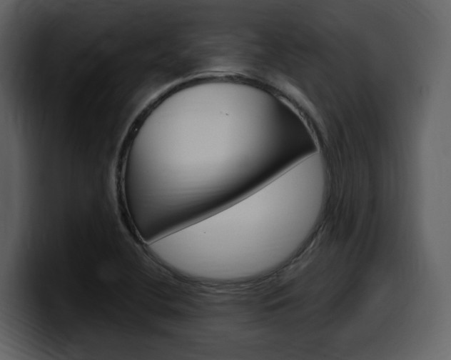 X0000099581412200805160737