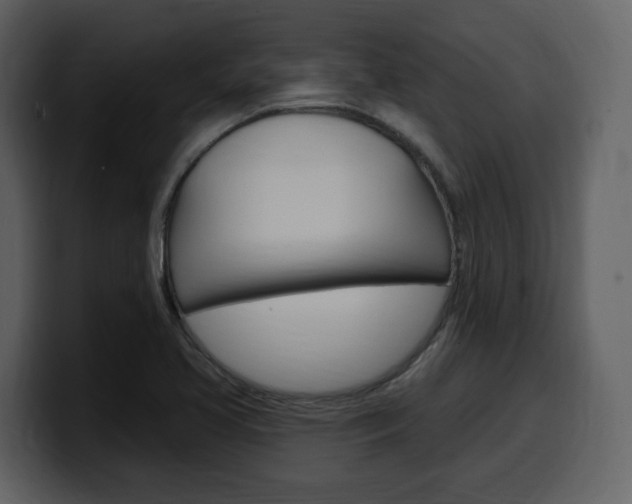 X0000099581413200805160737