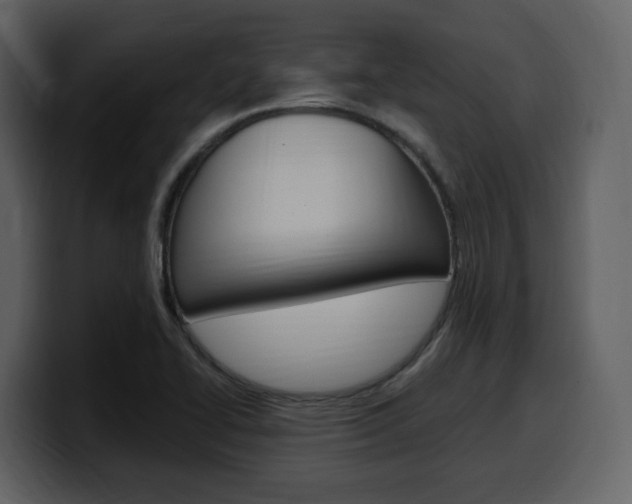 X0000099581414200805160737