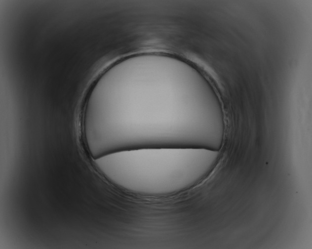 X0000099581415200805160737
