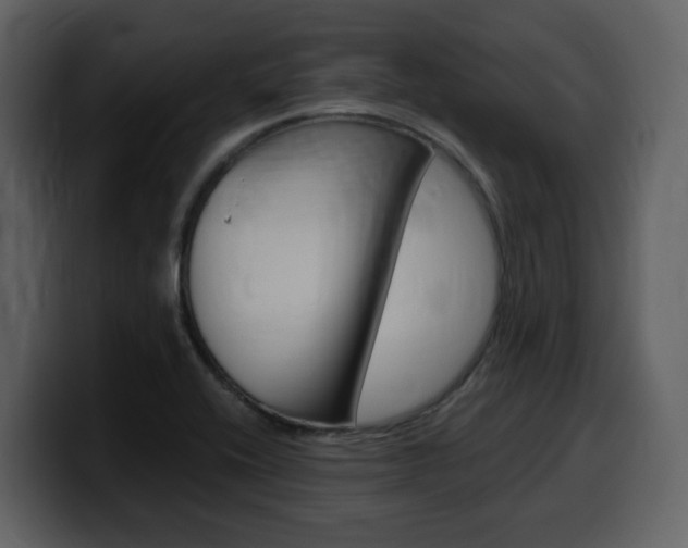X0000099581416200805160737
