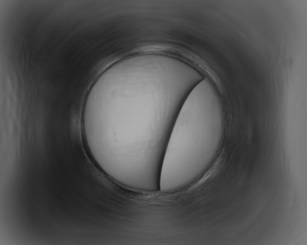 X0000099581417200805160737