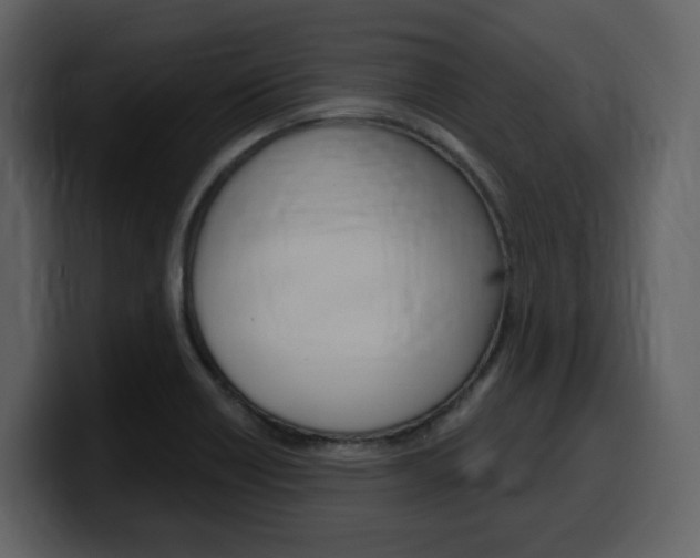 X0000099581418200805160737
