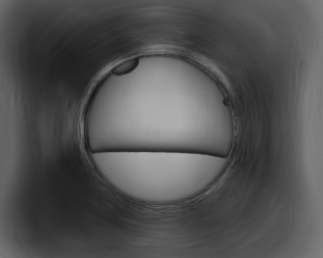 X0000099581419200805160737