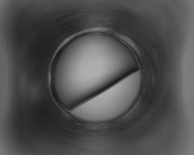 X0000099581420200805160737