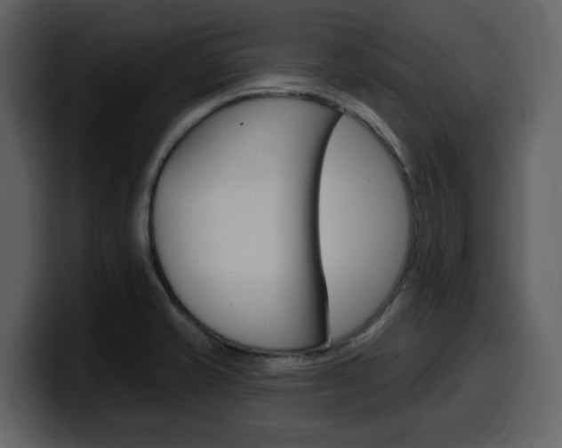 X0000099581421200805160737