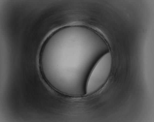 X0000099581422200805160737